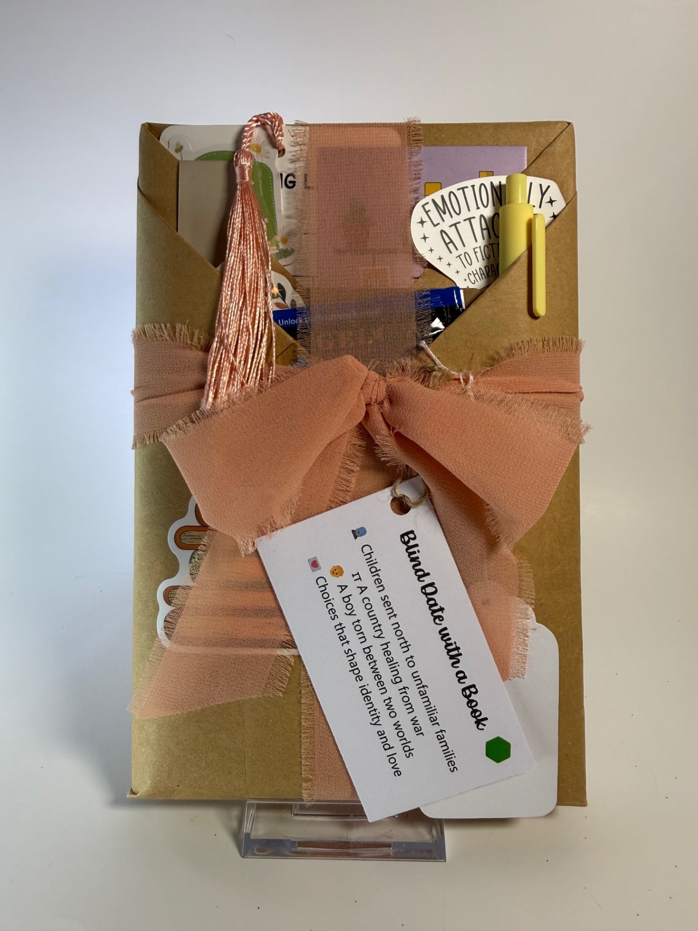 Date My Books Blind Date Book - Historical Fiction - 327