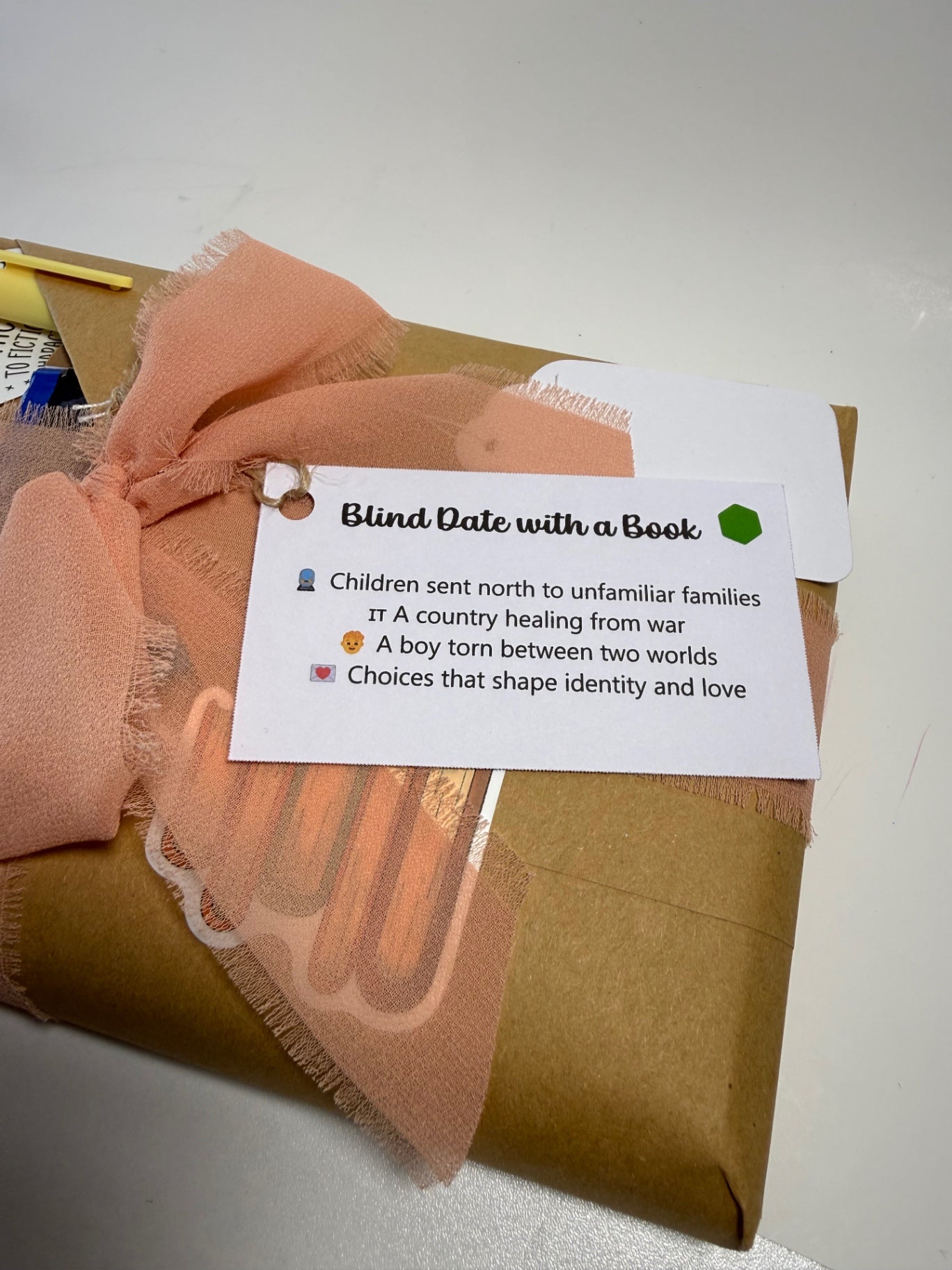 Date My Books Blind Date Book - Historical Fiction - 327