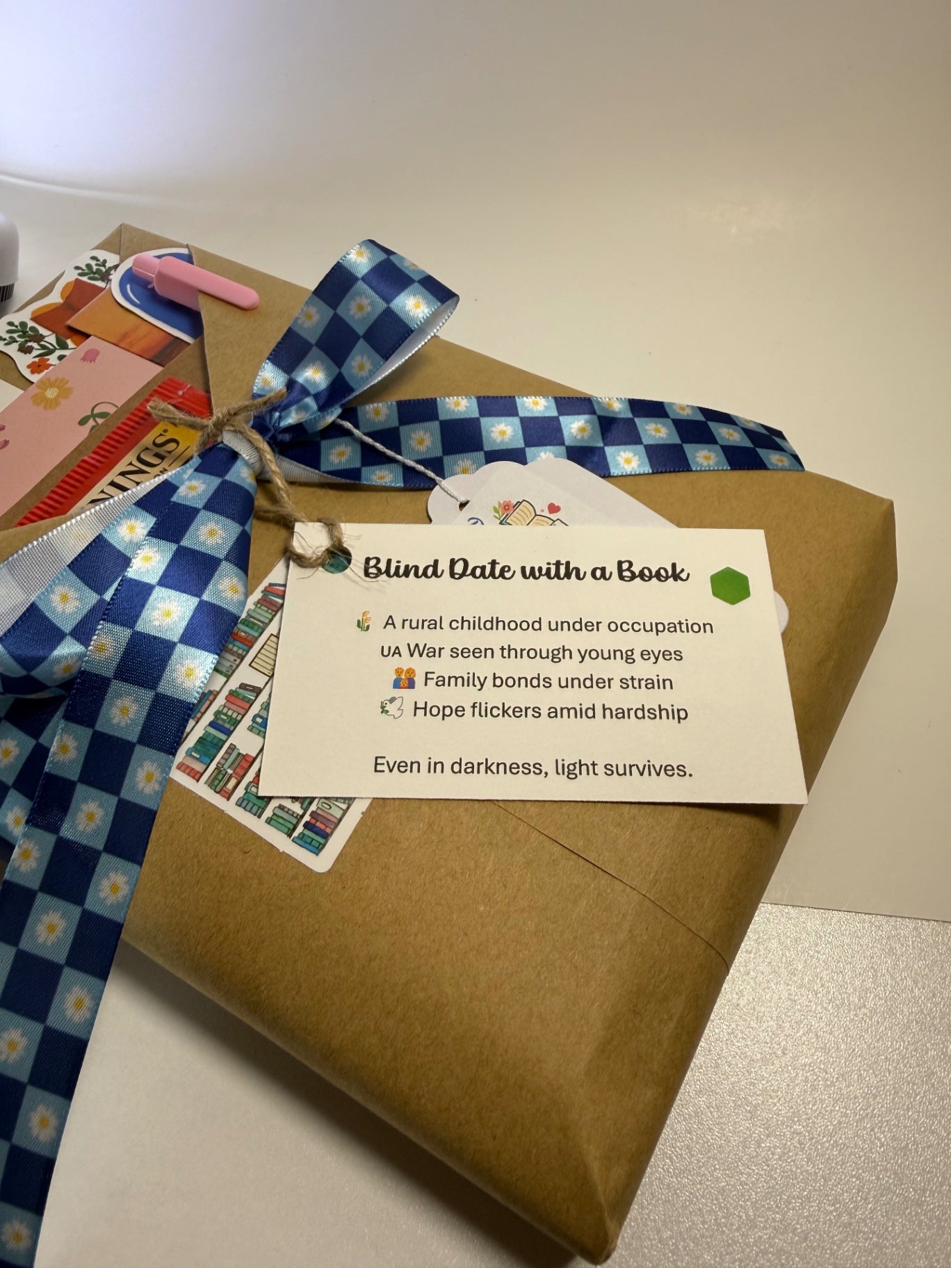 Date My Books Blind Date Book - Historical Fiction - 508