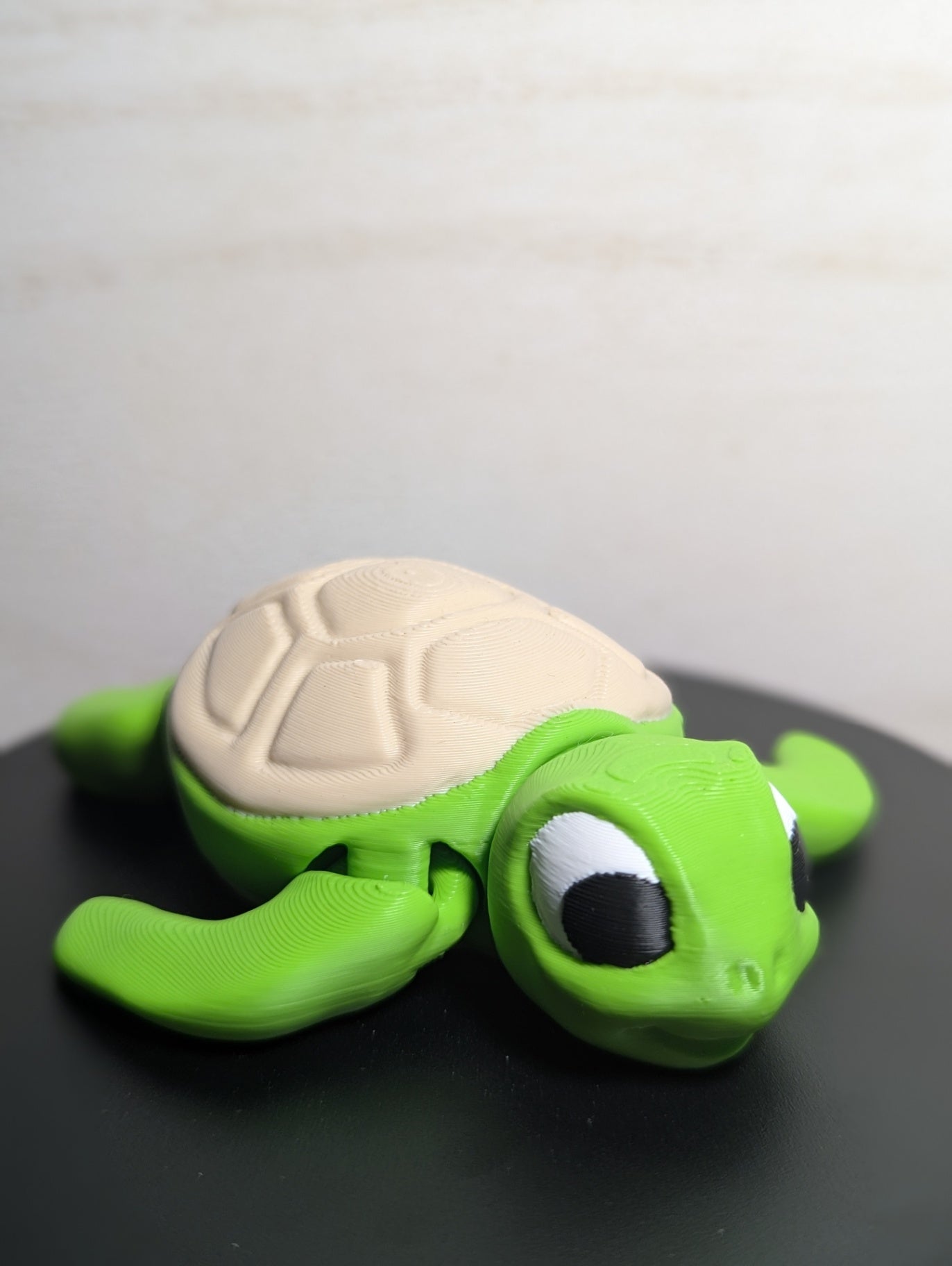 Turtle 3D Print