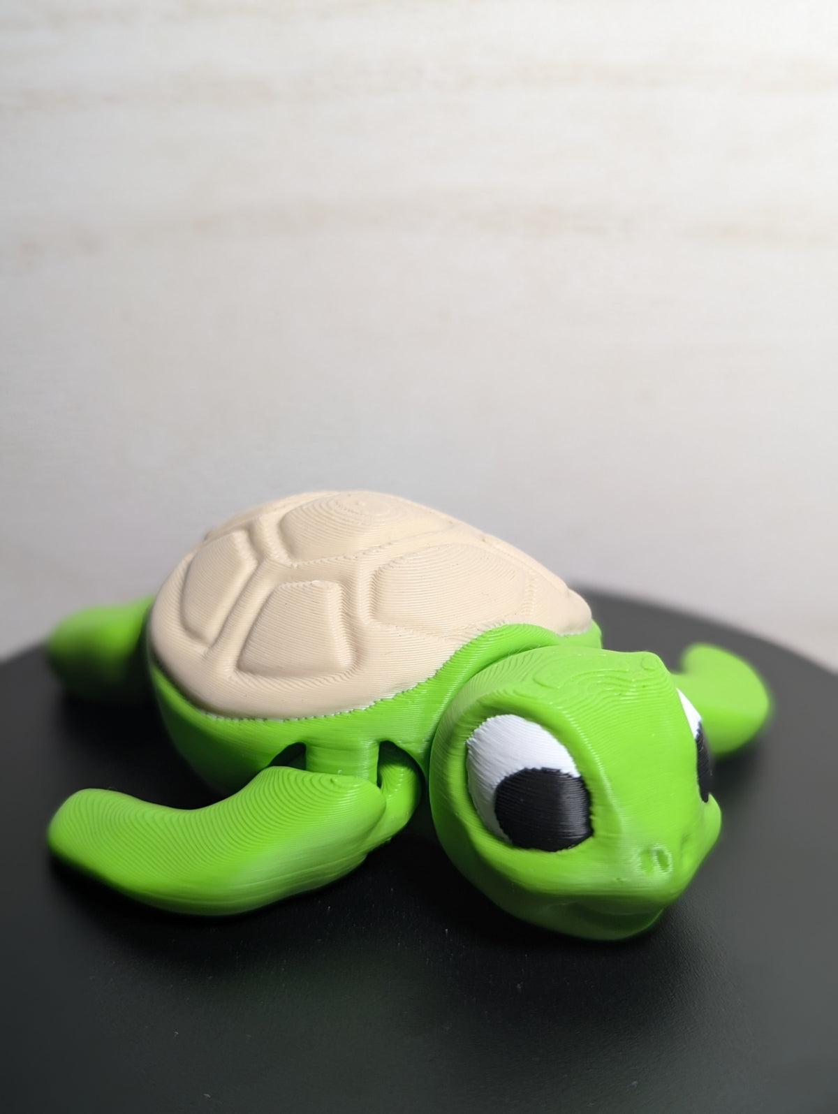 Turtle 3D Print