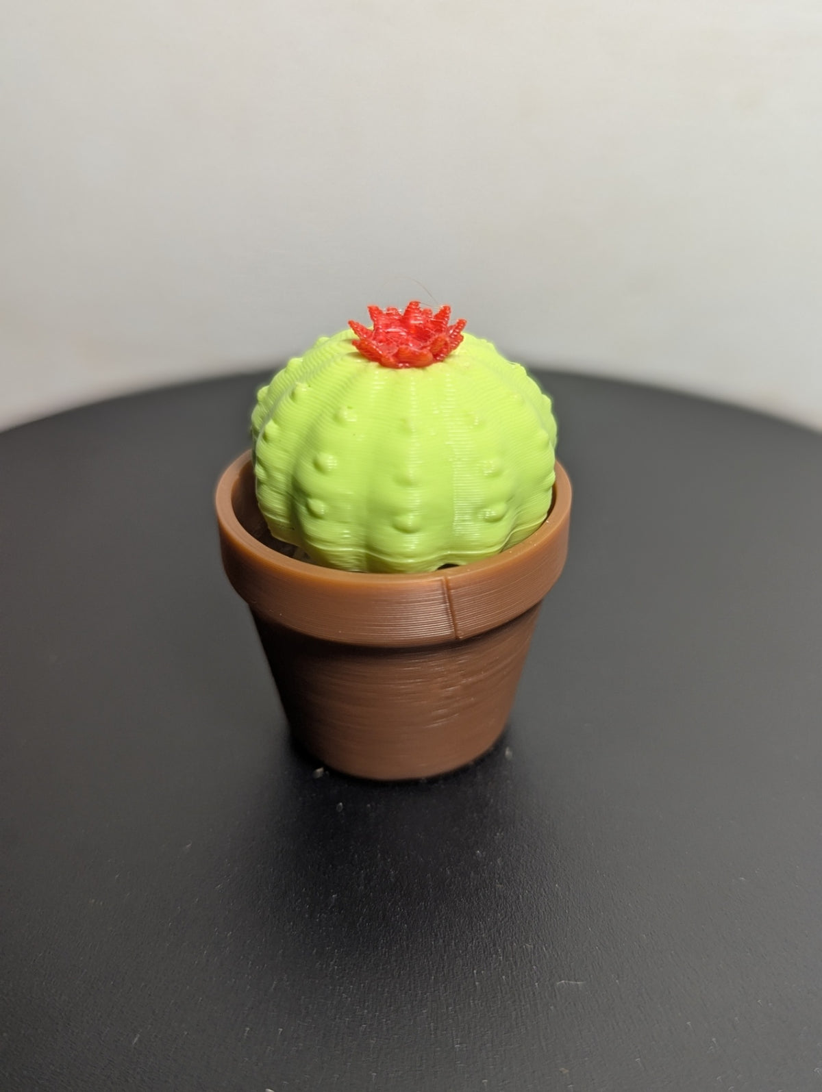 Flower Cactus Clickers