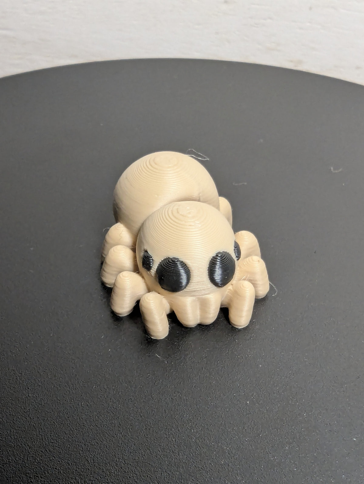 Spider 3D Print