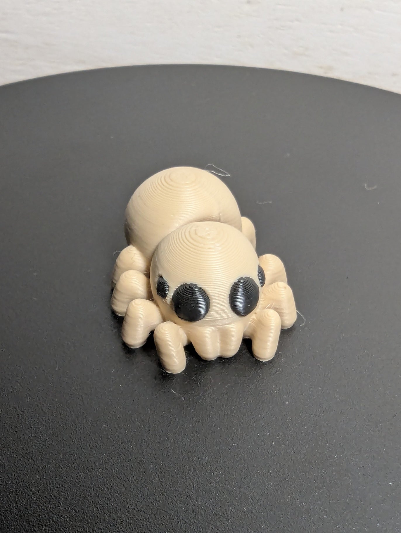 Spider 3D Print