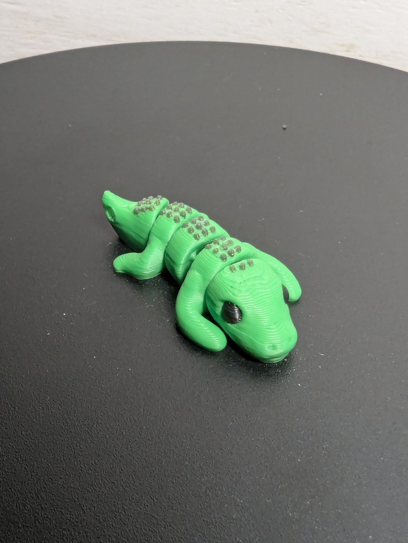 Gators 3D Print