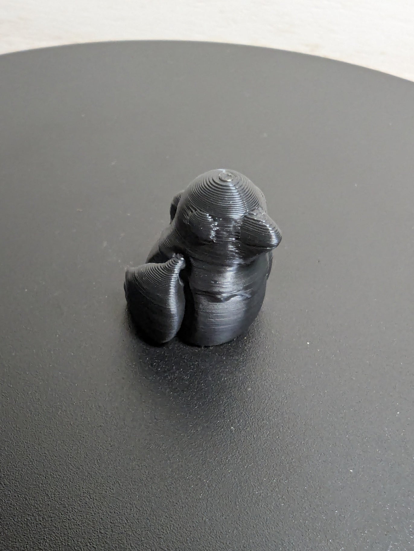 Raven/Crow 3D Print