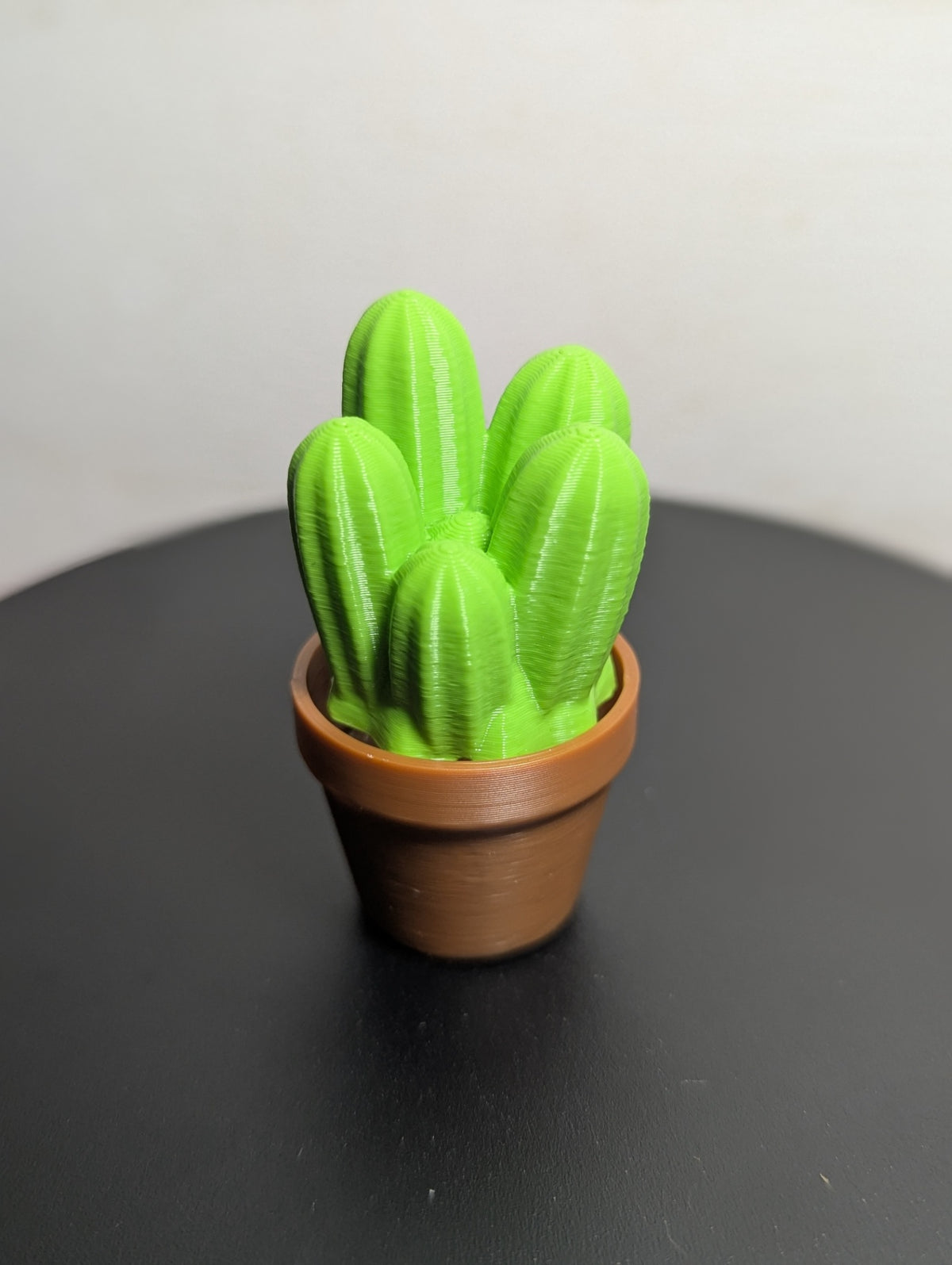 Grouped Cactus Clickers