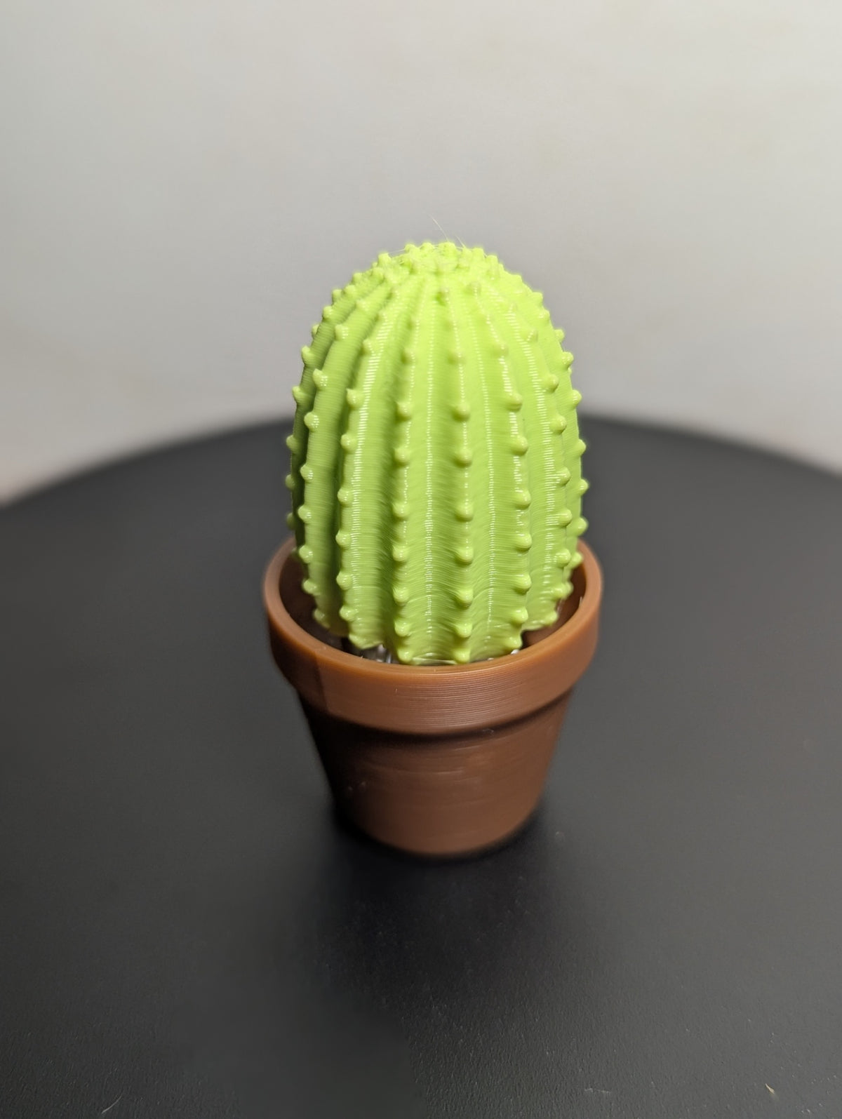 Single Cactus Clickers