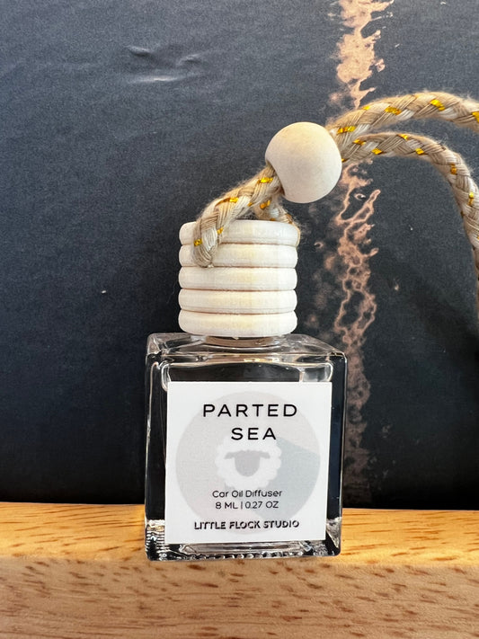 Little Flock Studio Car Diffuser PARTED SEA