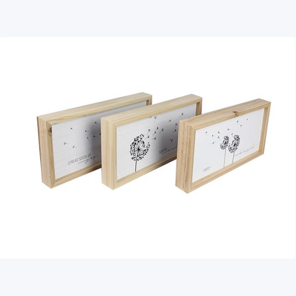 Spread Seeds of Joy Framed Box Sign