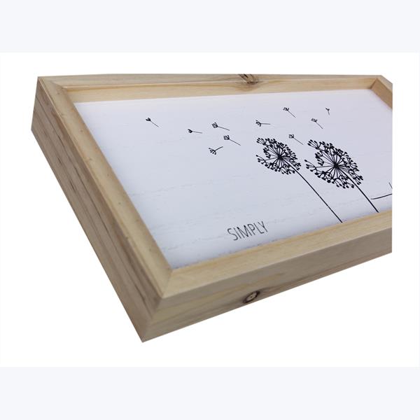 Spread Seeds of Joy Framed Box Sign