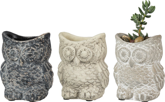 Cement Owl Planter – Indoor & Outdoor Garden Decor (Sold Separately)