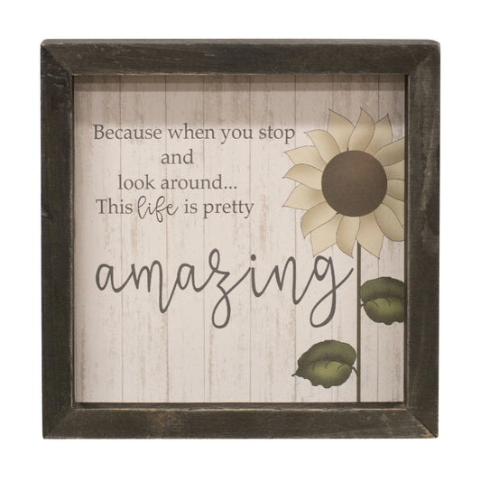 Life Is Amazing Framed Sign