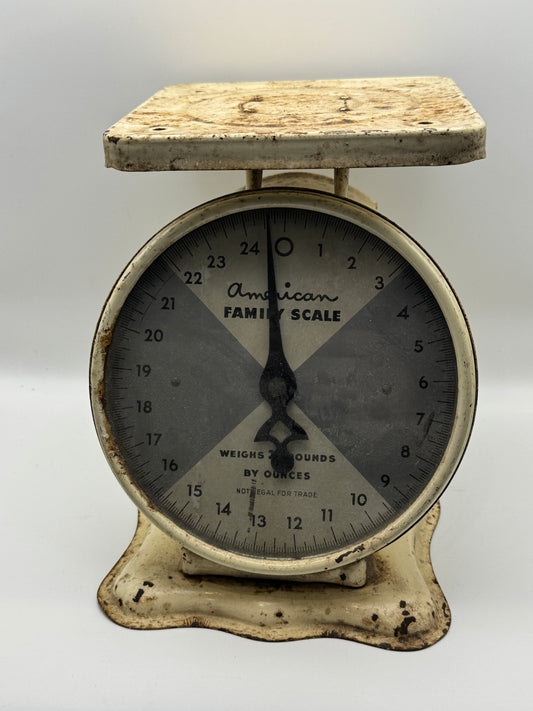 Vintage American Family Kitchen Scale (8")