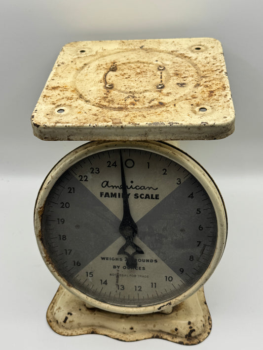 Vintage American Family Kitchen Scale (8")