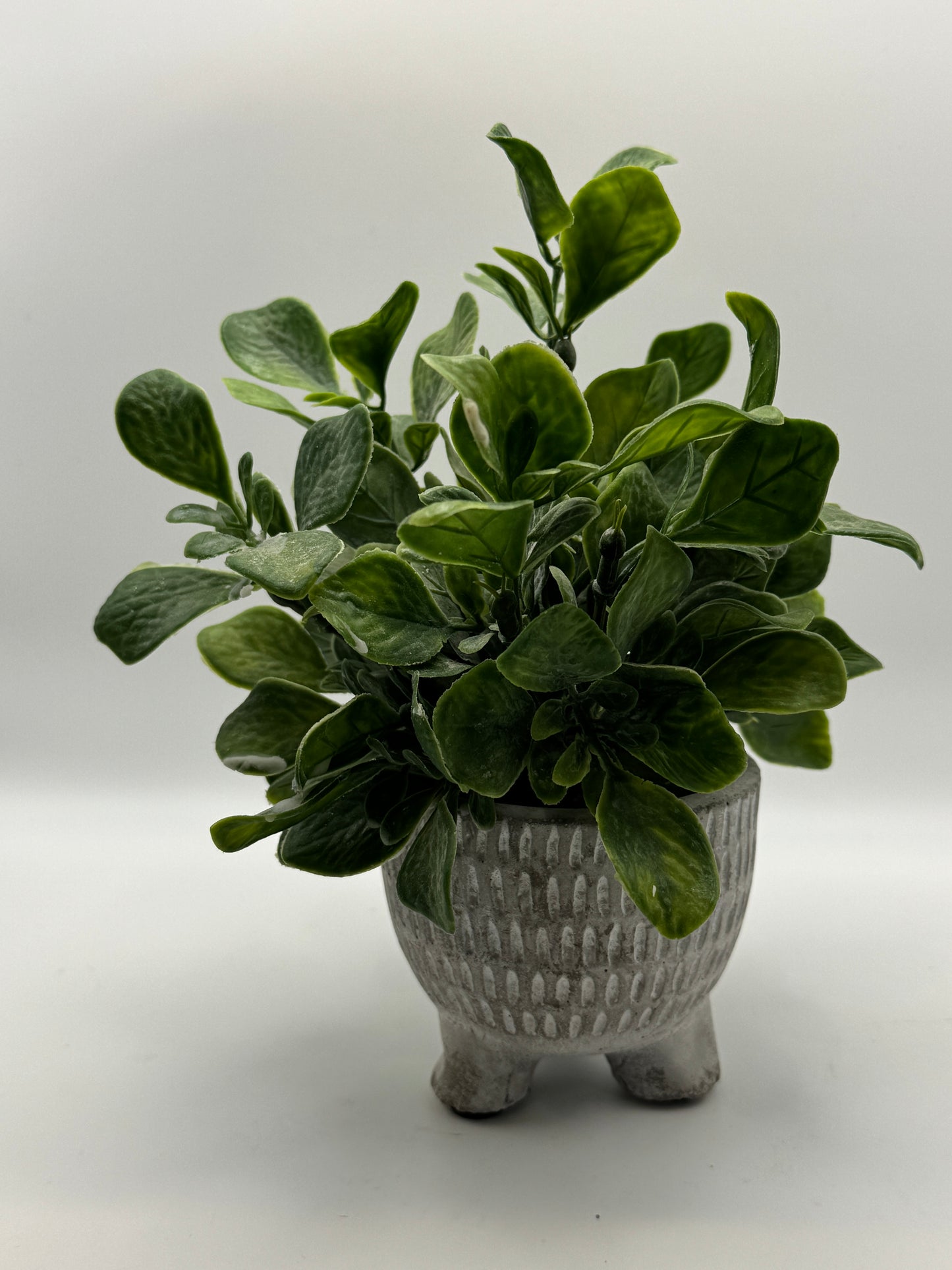 Faux Greenery Plant in Textured Footed Planter (8")