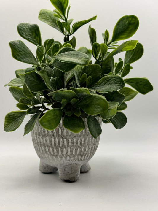 Faux Greenery Plant in Textured Footed Planter (8")