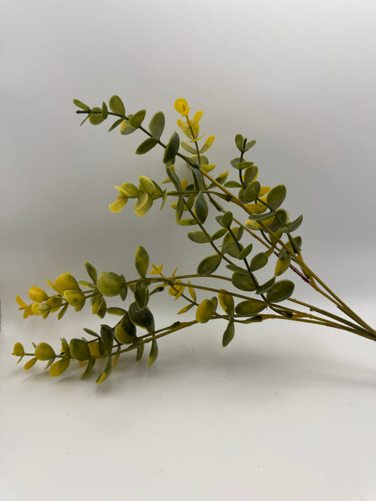 Yellow Eucalyptus Stem – 13"