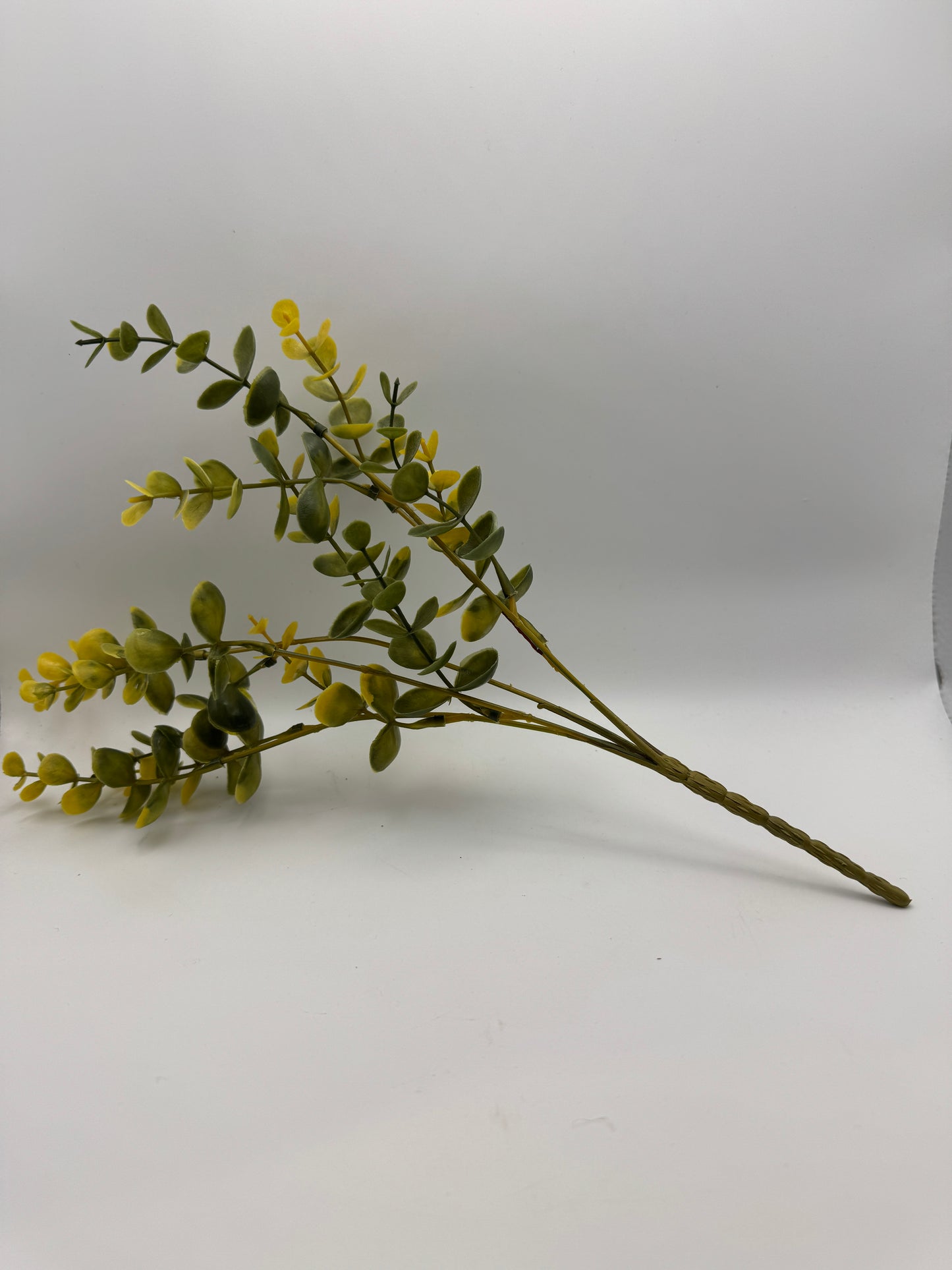 Yellow Eucalyptus Stem – 13"