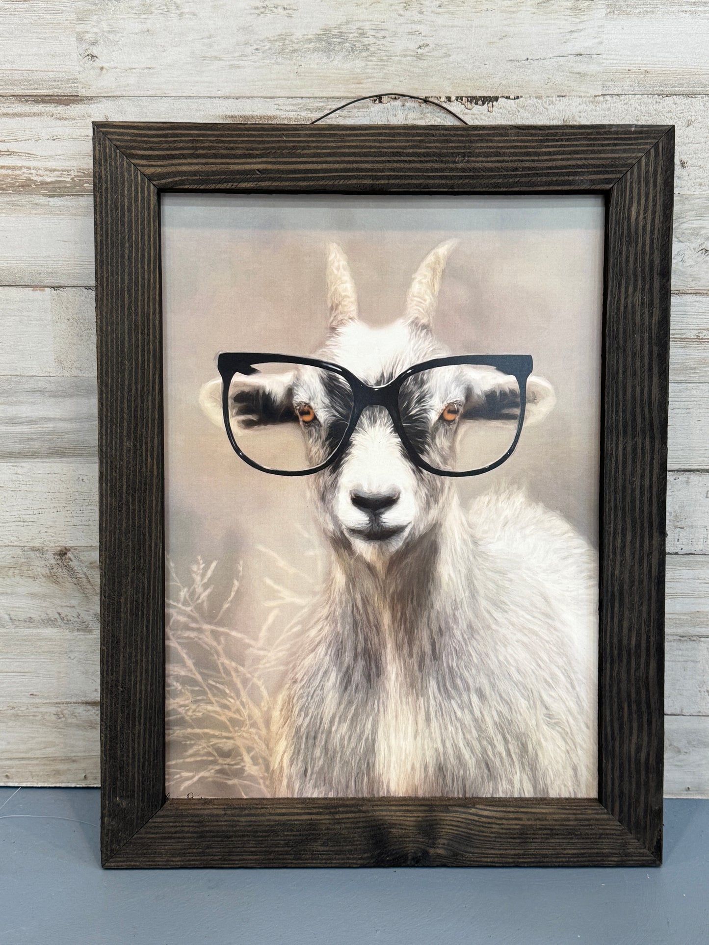 Professor Goat Framed Wall Art 12x16