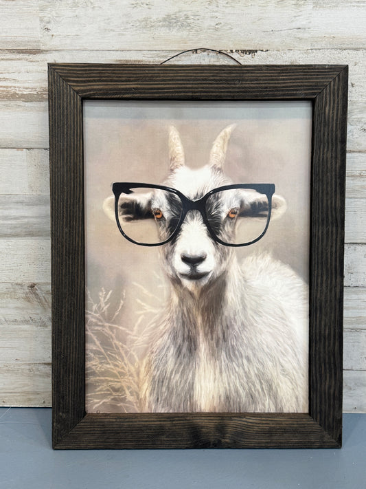 Professor Goat Framed Wall Art 12x16