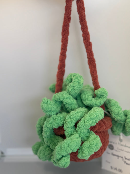 Handmade Crocheted Stuffed Animals - Hanging Snake Plant