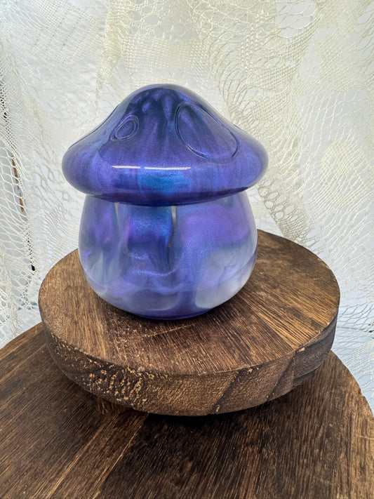 Hand-Poured Epoxy Resin Creations - Mushroom Jar