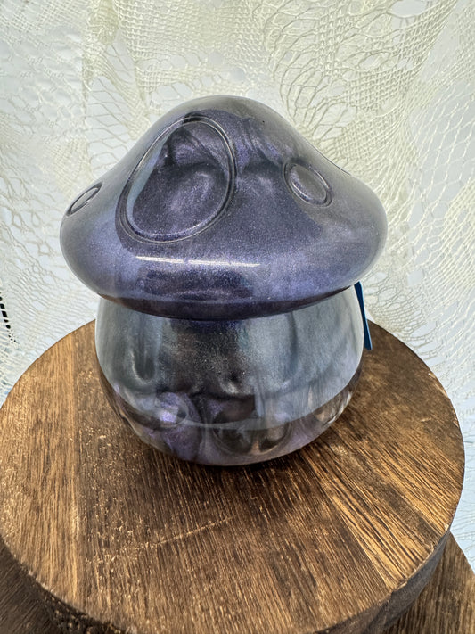 Hand-Poured Epoxy Resin Creations - Mushroom Jar