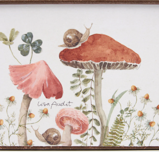 Mushroom Study Bin