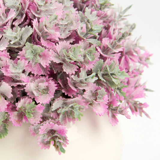 Purple Phlox Vase